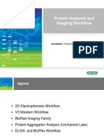 Protein Analysis Workflow