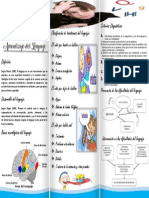 DIFICULTADES EN EL APRENDIZAJE DEL LENGUAJE-triptico