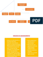 Organigrama Asesoramiento Tottus