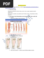 Kay Parker guruhi porno