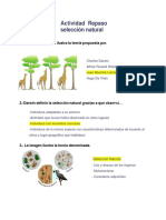 Ciencias Naturales. Actividad 16-06