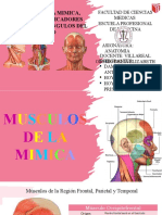Musculos de La Mimica, Masticacion, Musculos y Triangulos Del Cuello