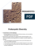 Prokaryotes Monera