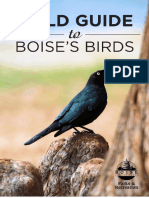 Field Guide For Birds