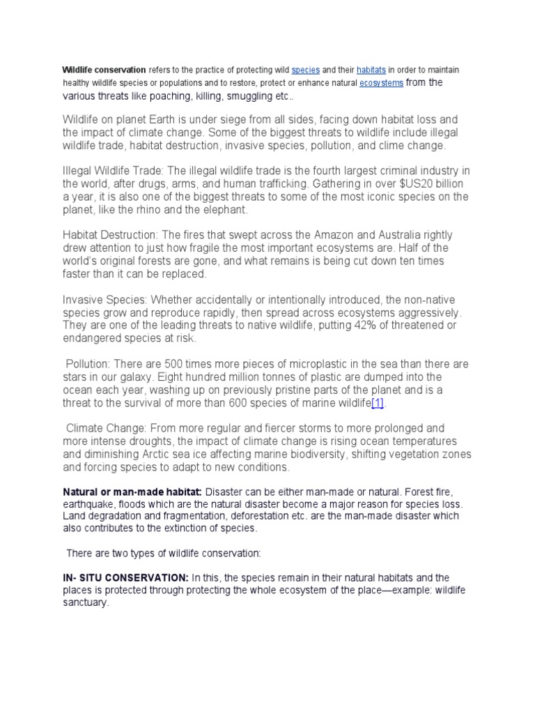 Wildlife visual data 8