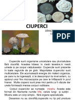 Ciuperci 