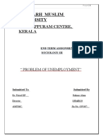 AMUMC End Term Assignment on Problem of Unemployment