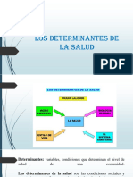 Determinantes salud: Medioambiente, estilo vida, biología y servicios