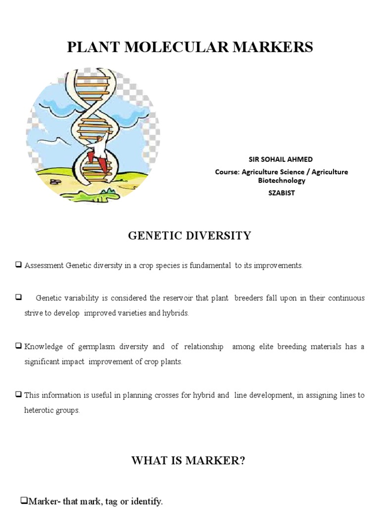 Lect Plant Molecular Markers PDF Biotechnology