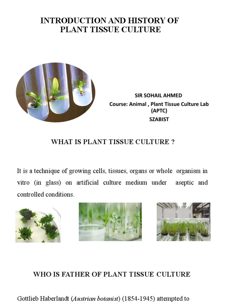 History of Plant Tissue Culture | PDF | Growth Medium | Plant Hormone