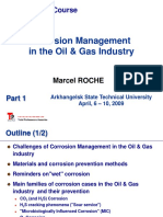 Corrosion Roche Arkhangelsk Part 1 Challenges Corrosion