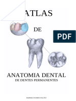 Atlas de Anatomia Dental