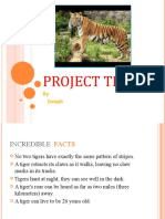 project tiger