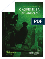 O Acidente e a Organização