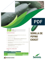 Pepino-Exocet PERU