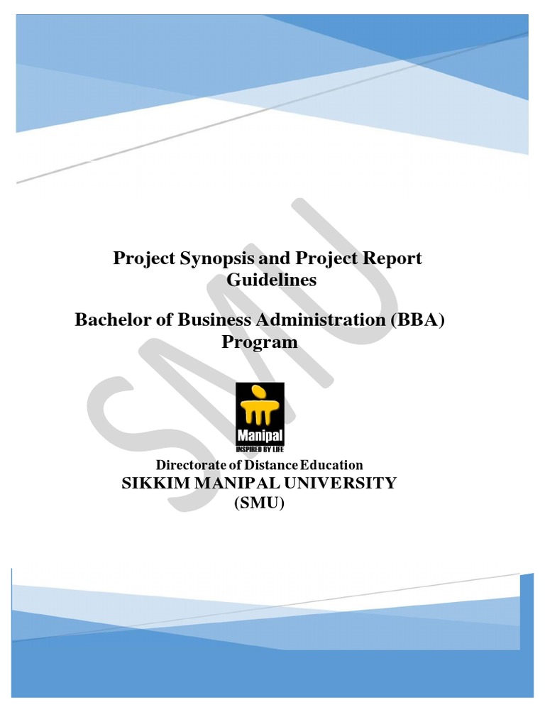 bba research project pdf