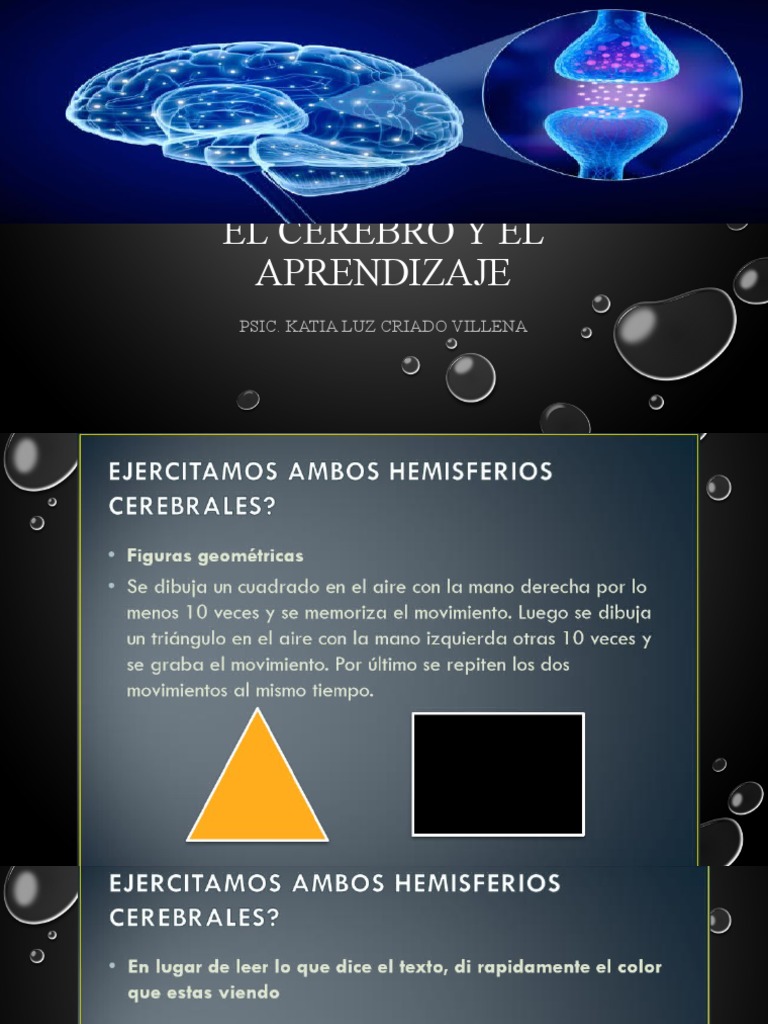 El Cerebro y El Aprendizaje | PDF | Las emociones | Cerebro
