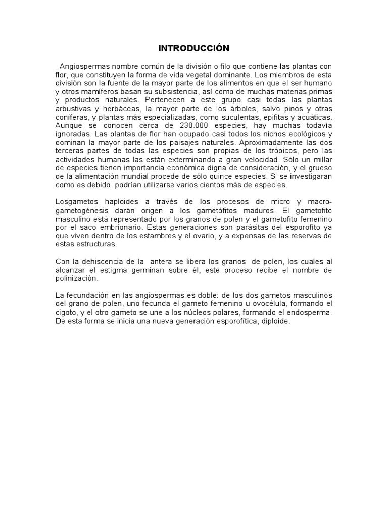 Características y evolución de las angiospermas | PDF | Flores | Fruta