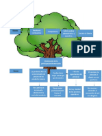 Arbol de Problemas Organizado