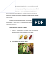 Propuesta de Mejoramiento de La Producción de Cacao A Nivel de Poscosecha