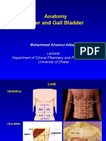 Anatomy Liver and Gall Bladder: Mohammad Ahsanul Akbar