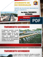 Tratamiento Secundario