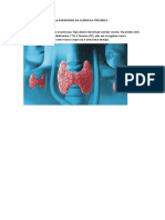 Pesquisa Trabalho Biologioa HORMONIOS DA GLÂNDULA TIREOIDEA