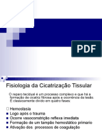 Fisiologia da Cicatrização Tissular