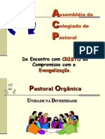 Pastoral Orgânica Unidade na Diversidade