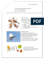 Informe 1