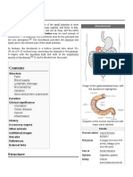 Duodenum: Anterior Intestine or Proximal Intestine May Be Used Instead of