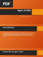 Agua Acidas-PALLO