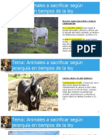 4.2020.10 Animales A Sacrificar Según Jerarquia