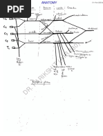 Anatomy Notes Upsc PDF