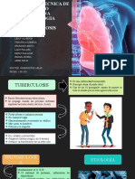 Tuberculosis: causas, síntomas y tratamiento