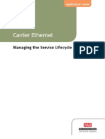 Carrier Ethernet: Managing The Service Lifecycle