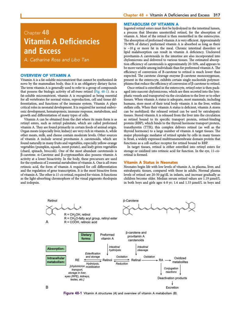 Vitamin A Deficiency | PDF | Vitamin A | Retinal