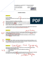 Parcial Llance