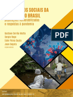 Os Impactos Sociais Da Covid-19 No Brasil