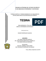 Tesina SRV 0918