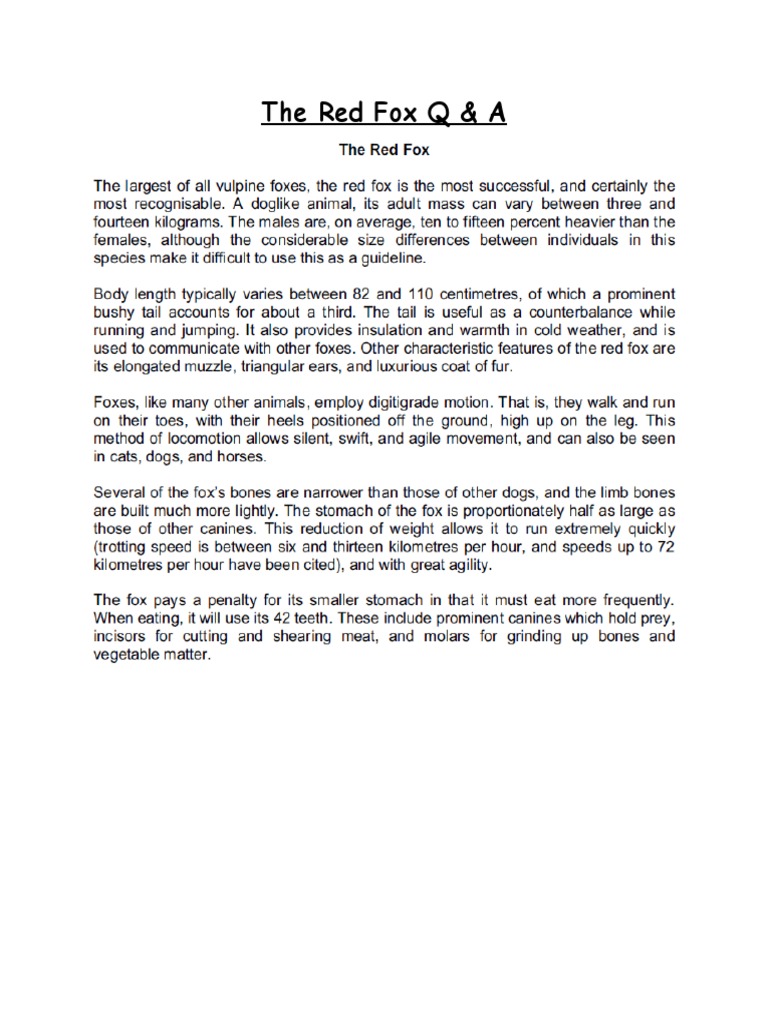 Red Fox Facts and Insights | PDF | Fox | Tooth