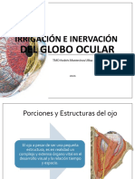 Clase 12 Irrigación e Inervación Ocular  