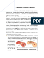 Clase 11 - Nutrición Animal II - Respiración, Circulación y Excreción