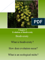 Evolution of Biodiversity