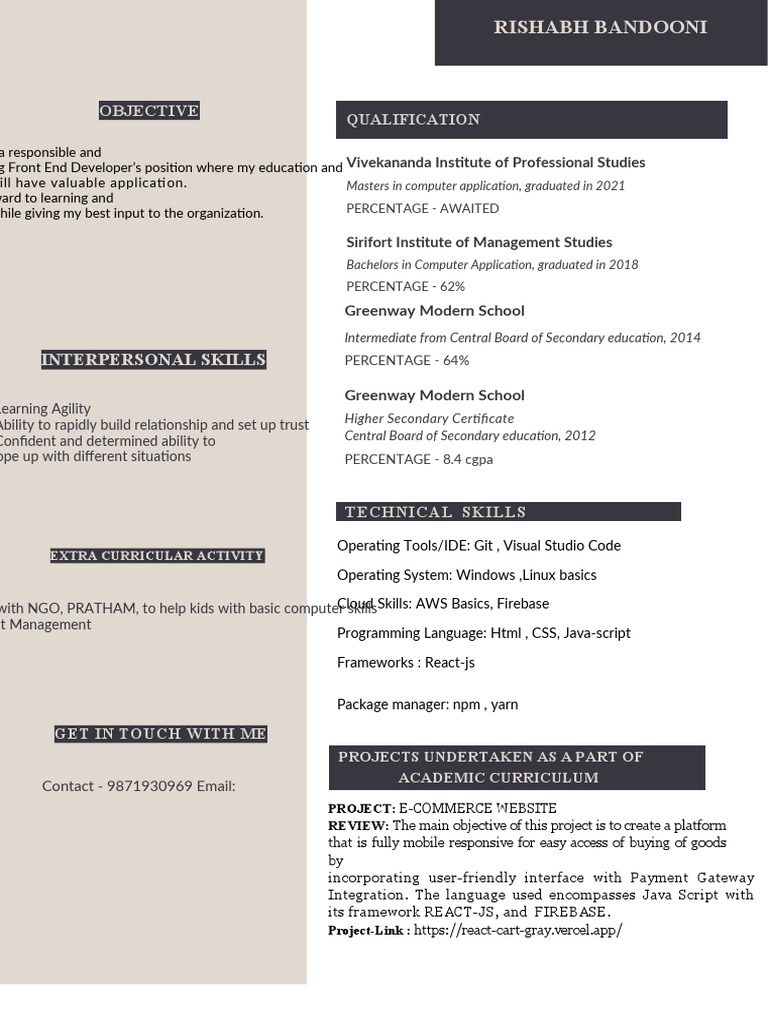 Front End Developer Portfolio Overview | PDF | Information Age ...
