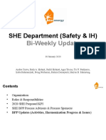 SHE-Safety IH BPP Report - 200130add