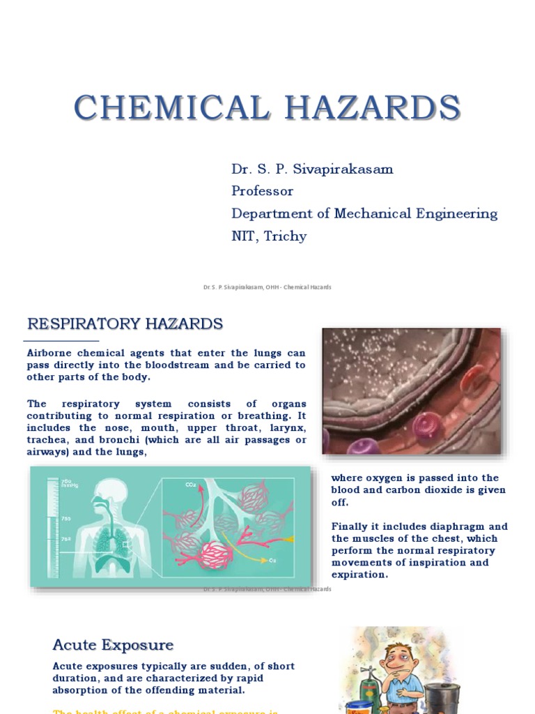 Chemical Hazards Respiratory Hazard PDF Respiratory Tract