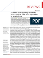 Reviews: Extreme Heterogeneity of Human Mitochondrial DNA From Organelles To Populations