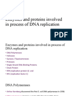 Enzymes and Proteins in Dna Replication