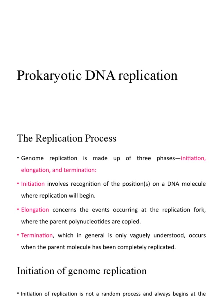 Prokaryotic Dna Replication | PDF | Dna Replication | Primer (Molecular ...